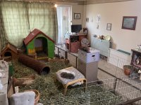 IMG_6216.jpeg