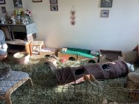 IMG_6190.jpeg