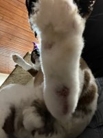 IMG_9804.jpeg