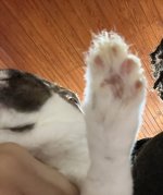IMG_9805.jpeg