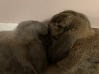 IMG_8089.JPG