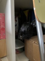 IMG_1325.jpeg