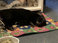 IMG_1295.jpeg