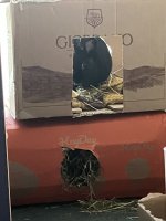 IMG_1280.jpeg