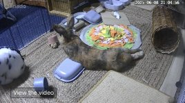 IMG_0118.jpeg