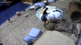 IMG_0116.jpeg
