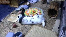 IMG_0114.jpeg