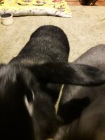 20250627_221801.jpg