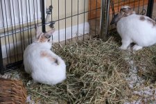 DSCF0398 lower res.JPG