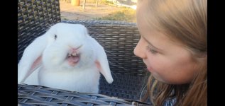 Screenshot_20250825_205105_Video Player.jpg