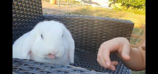 Screenshot_20250825_205126_Video Player.jpg