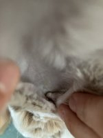 IMG_0008.jpeg