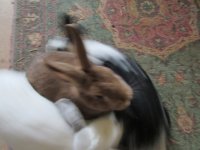IMG_5033.JPG