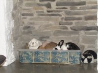 IMG_5294.JPG