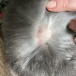 IMG_4873.jpeg