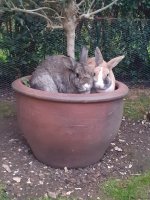 WhatsApp Image 2025-12-02 at 20.13.17 (1).jpeg