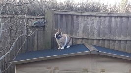 WhatsApp Image 2025-12-02 at 20.13.16 (1).jpeg