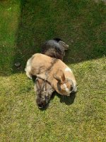 WhatsApp Image 2025-12-02 at 20.13.17 (2).jpeg