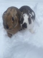 WhatsApp Image 2026-01-02 at 9.48.13 AM.jpeg