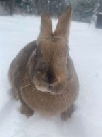 WhatsApp Image 2026-01-02 at 9.48.14 AM.jpeg