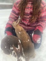 WhatsApp Image 2026-01-02 at 9.48.14 AM (2).jpeg