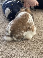 IMG_7723.jpeg
