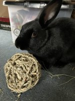 IMG_5887.jpeg