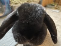 IMG_7186.jpeg