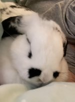 IMG_7368.jpeg