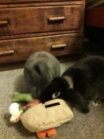 20260305_174304.jpg