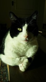 20160307_161640.jpg