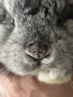 IMG_9126.jpeg
