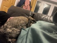 IMG_8404.jpeg