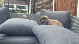 IMG_6707.jpeg