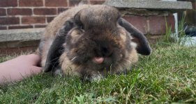 IMG_5715.jpeg