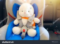 stock-photo-white-rabbit-on-kid-car-seat-and-fastened-seat-belt-or-safety-belt-in-the-back-sea...jpg