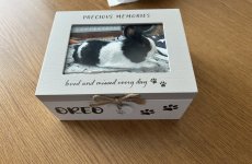 IMG_0523.jpeg