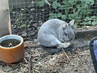 IMG_0078.jpeg