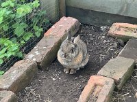 IMG_1261.jpeg