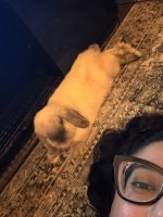 IMG_2408.jpeg