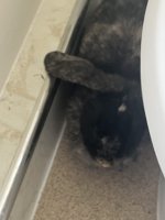 IMG_1405.jpeg