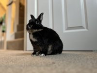 IMG_6098.jpeg