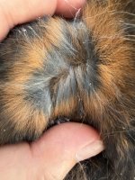 IMG_1050.jpeg