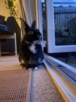 IMG_8441.jpeg