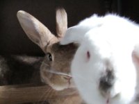 IMG_4749.JPG