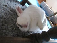 IMG_8491.JPG