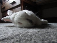 IMG_2042.JPG