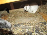 IMG_6358.JPG