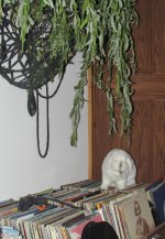 IMG_7812.JPG