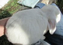 IMG_2814.JPG